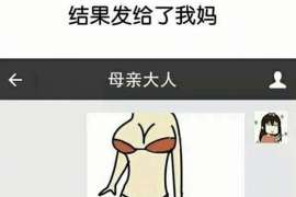 大宁调查案例